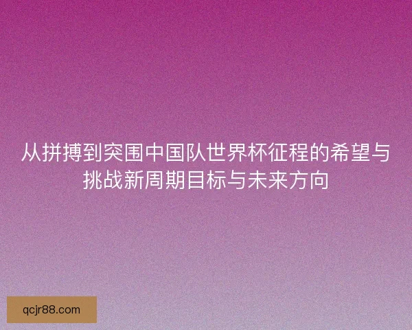 从拼搏到突围中国队世界杯征程的希望与挑战新周期目标与未来方向