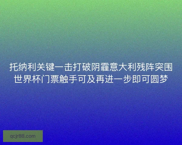 托纳利关键一击打破阴霾意大利残阵突围世界杯门票触手可及再进一步即可圆梦