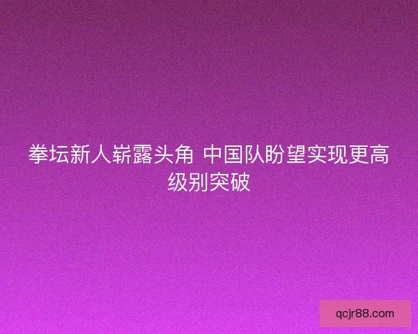 拳坛新人崭露头角 中国队盼望实现更高级别突破
