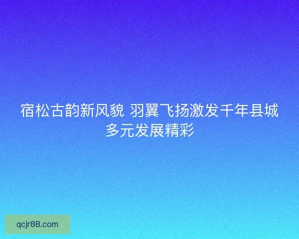 宿松古韵新风貌 羽翼飞扬激发千年县城多元发展精彩